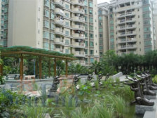 石竹新花园 大面积三房 南北通透 采光好