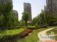 新凤城 3室1厅 南