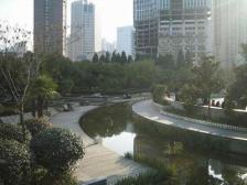 新上房源多年未出的经典两房两卫楼层好户型好南北通