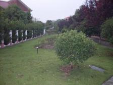 500平大花园,独栋别墅,小区主干道位置,诚意出售