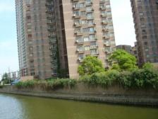 日月光+1/12号漕宝路地铁,三开间朝南正气全明三房两卫