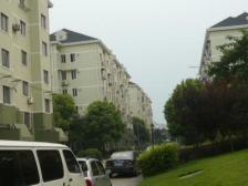 刚需上车 产权清晰,精装 新上房源