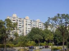 新上南北通两房 好位置好楼层 诚意度高