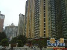 三峡广场 华宇广场四房305万