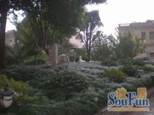 人车分流位置安静!高得房率两梯两户停车方便