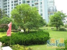 黄浦江畔,低区精品,2梯1户,高隐私性