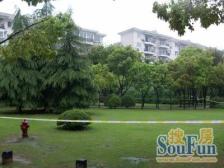 近地铁,满五,采光好产权清晰,新上房源