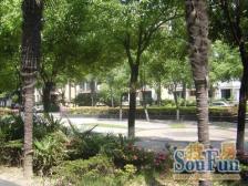 金杨·点睛苑·3室·2厅