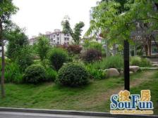 聚福豪苑4室2厅 南向 采光好 景观房