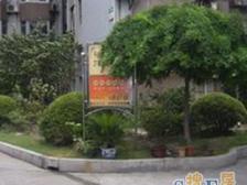 大开间,全南户型,不靠近马路,品质小区