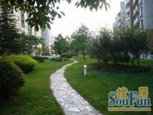 金杨·上海未来·2室·2厅