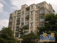 莘庄独有全南户型,龙之梦旁,五轨交汇,2+1层实用。