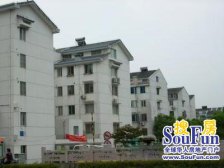 桂花新村新上房源 大两房户型正气房东诚心出售看中可以聊