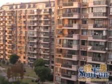 金桥·金桥新城·3室·2厅