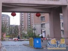 金桥·金桥新城·4室·3厅