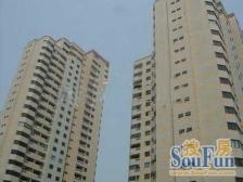 4/6号线蓝村路站旁、电梯小两房、全新装修、停车方便