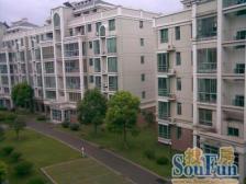 新格林花园 精装三房 多层中间楼层 采光很好 临地铁