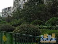 新上内环内电梯一房 看房方便近花园 采光好 产权清晰