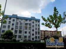 和平小区(徐汇) 1室0厅 南