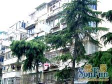 ** · 和平小区-罗秀路930弄 · 1室 · 1厅