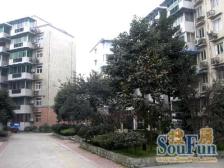 和平小区,全明一房,采光刺眼