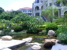 新上国际公馆联排别墅,位置好,南向大花园