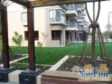 顶楼复式,南北大露台,采光无。敌,视野好