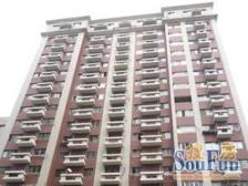 内环内+买一层带一层 +五米多层高+大四房采光好