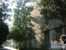 内环内+鞍山商圈旁南北两房,全明全亮,紧邻地铁,价格好协商。