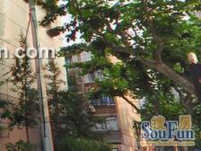 近商圈,交通便利,诚意出售,刚需好房