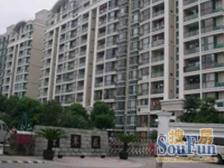 内环内旭辉旁 2000年商品房 带阁楼 带百万精装修