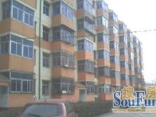 外滩滨江 近地铁 电梯房 低总价 南北通双南两房