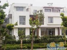 毛坯大独栋别墅+纯别墅区+绿城物业+环境优美!