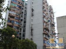 新上凤凰楼层 地铁口大面积南北通好房