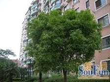 长岛公寓 2室2厅 南