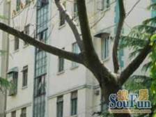 一梯三户,两房朝南,精装好房,小区入口附近