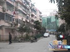 电梯房!!南北通透!视野无遮挡!全明户型!中间楼层