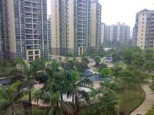 蔚蓝星湖 精装三房 南北对流 无欠款 保养好