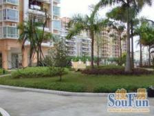 飞机户型大3房+文化广场+得房率高