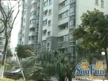 带产权车位 无抵押 中间楼层 通风好,必看好房