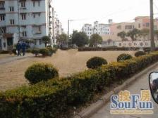 15平院子/地铁口/师三/气象局分配