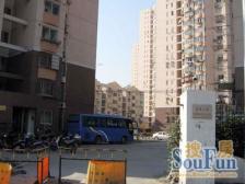 满五一套金桥城市副区域随看随签拎包入住好房景观房