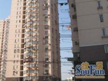 金巷小区(10弄3支弄高层) 1室1厅 西南 南