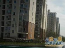 昱龙家园北区 3室2厅 南 北