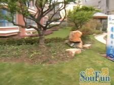 江湾 · 欣逸家园 · 4室 · 3厅