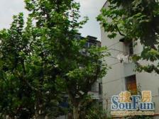 控江·延吉四村·2室·1厅