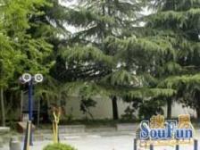 金三银四楼层,地铁口,电梯全明,长风公园