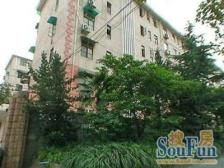 13-15号线、一楼带两个院子!近长风公园生活配套齐