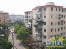 延长中路451弄小区2室东朝向319.00万元/套出售