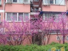 祁连新一村,精装修可直接入住,配套齐全